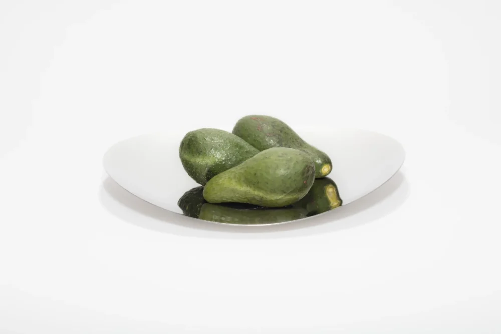 Tabuleiro Oval em Aço Inoxidável - Imagem 4