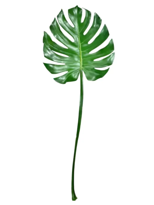 MONSTERA GRAND, COSTELA DE ADÃO ARTIFICIAL