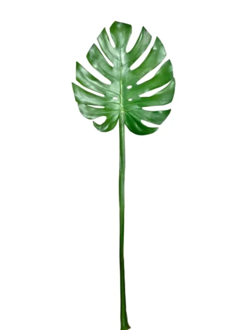 MONSTERA MEDIUM, COSTELA DE ADÃO ARTIFICIAL