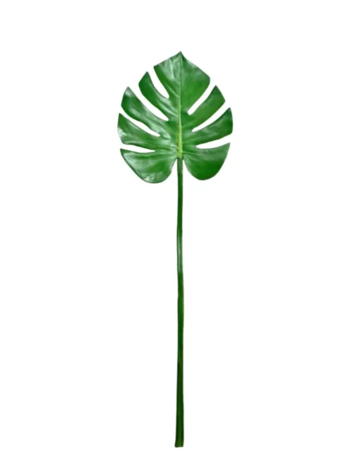 MONSTERA PETITE, COSTELA DE ADÃO ARTIFICIAL