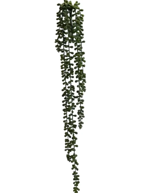 ROSÁRIO, PLANTA ARTIFICIAL