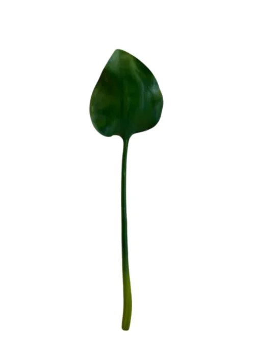 LOTUS PETITE, PLANTA ARTIFICIAL