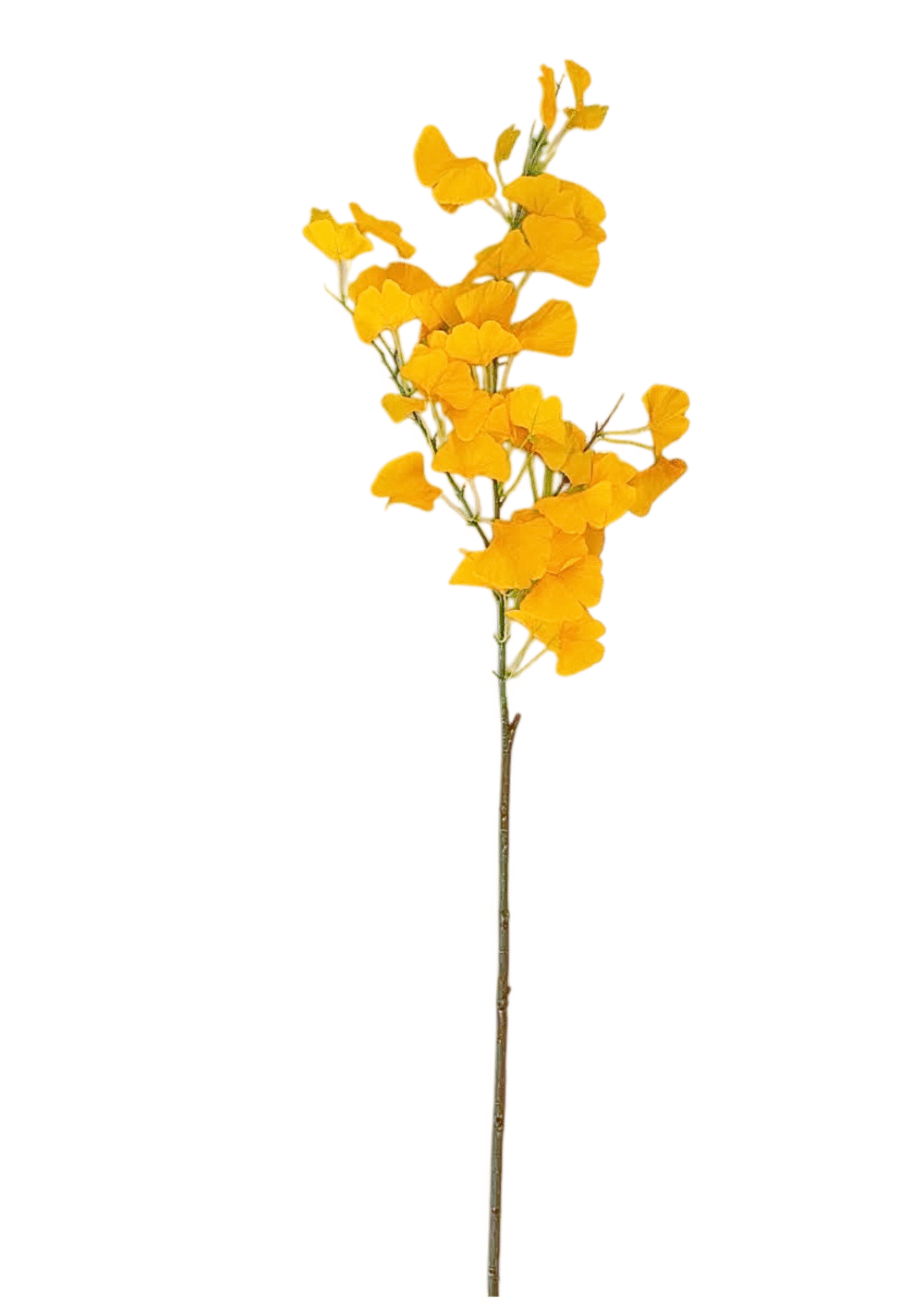 GINKGO AMARELO, FOLHAS ARTIFICIAIS - Image 2