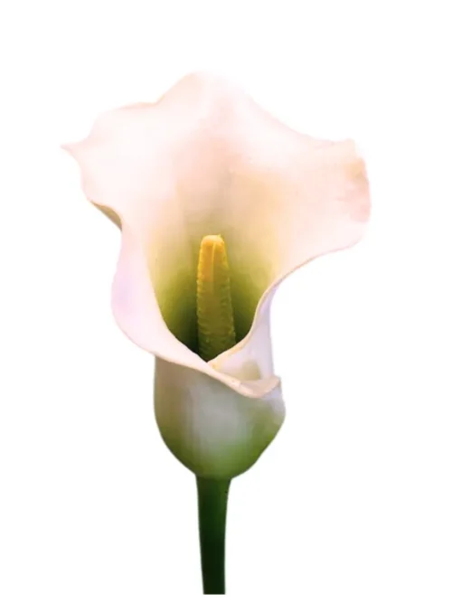 JARRO GRAND, FLOR ARTIFICIAL