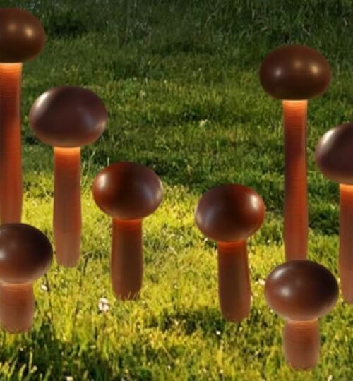 FUNGHI, CONJUNTO DE 10 CANDEEIROS DECORATIVOS PARA EXTERIOR