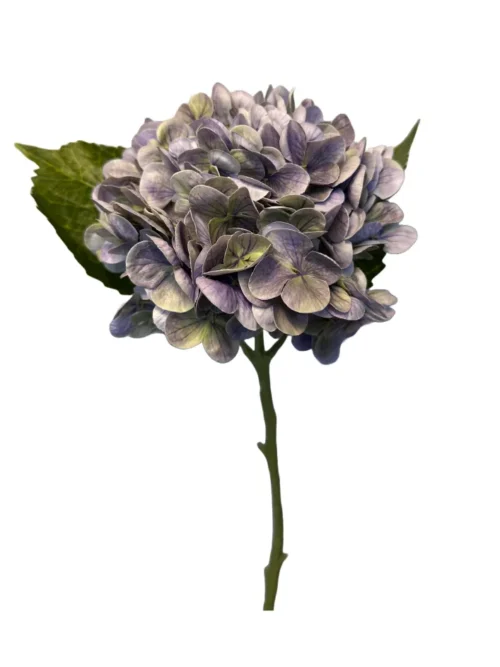 HORTENCIA LILÁS