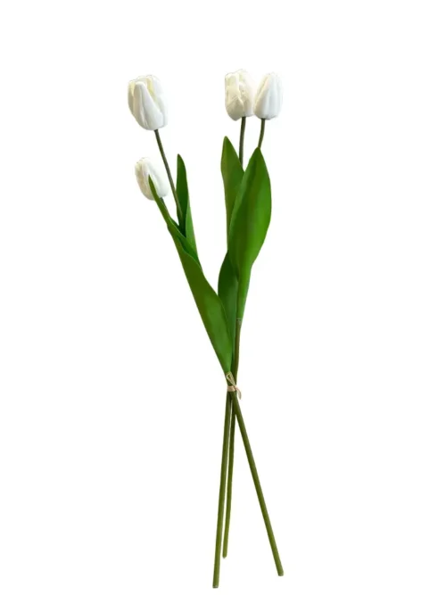 TULIPAS