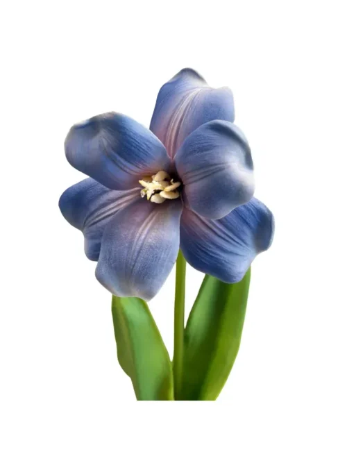 ORQUIDEA AZUL