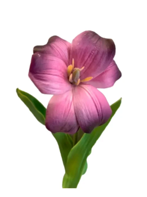 ORQUÍDEA ROSA