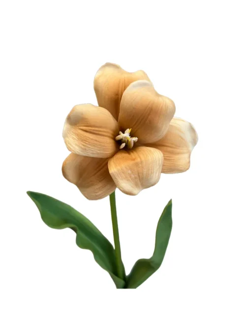 ORQUÍDEA AMARELA