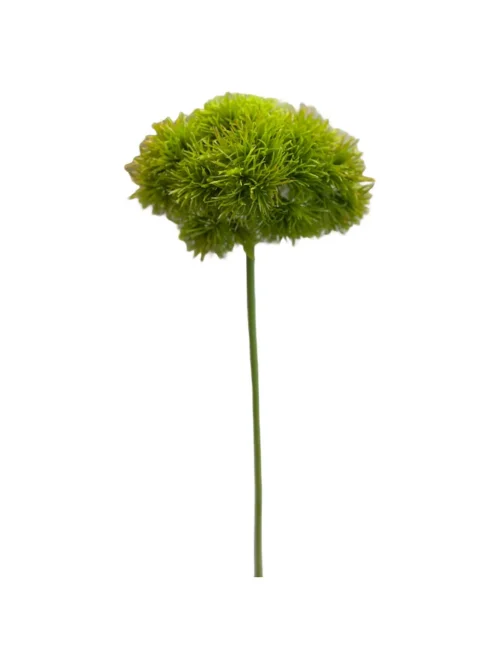 GREEN TRICK