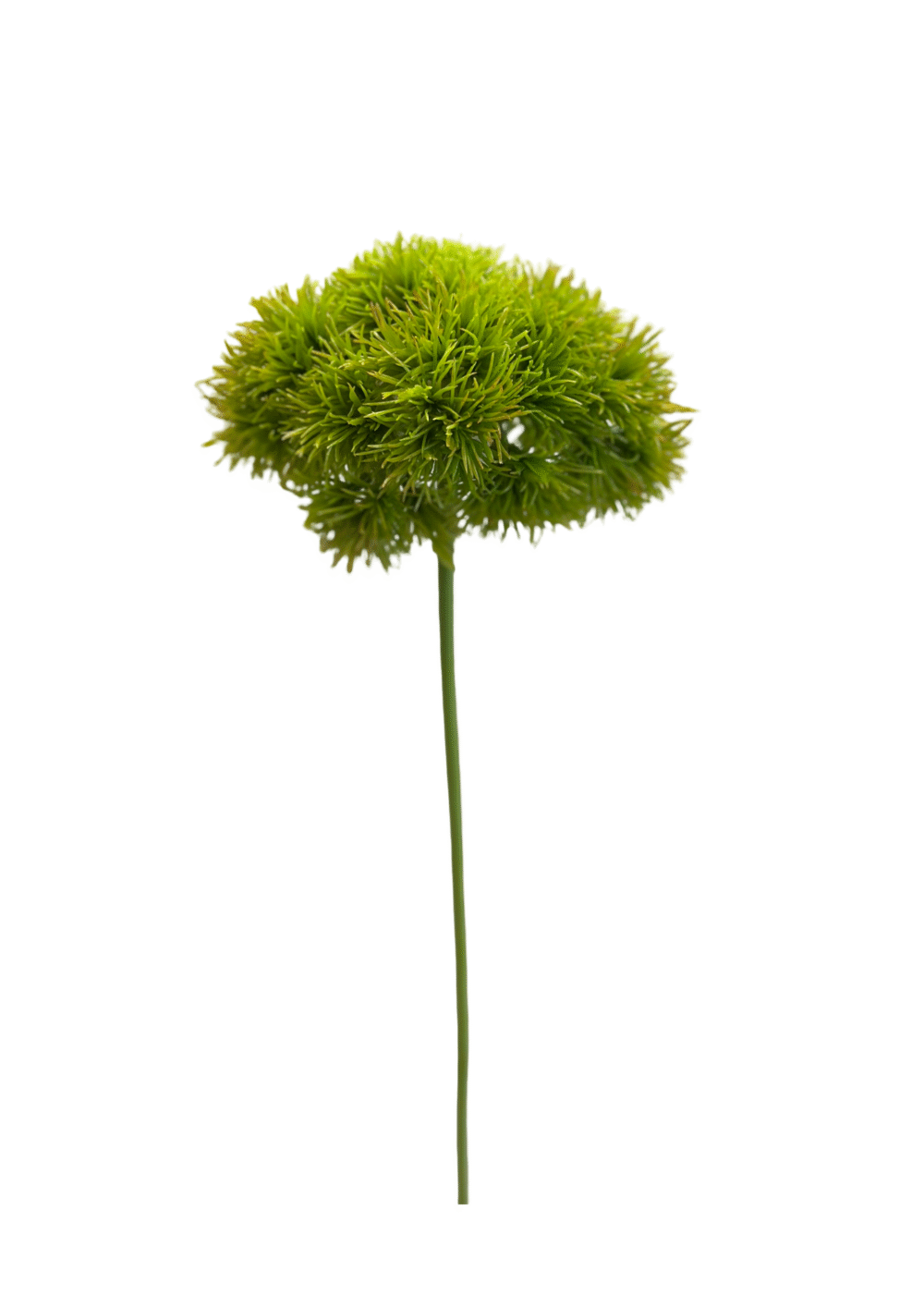 GREEN TRICK