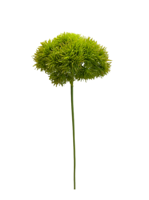 GREEN TRICK