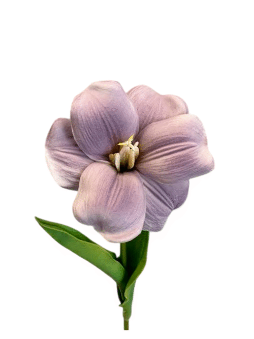 ORQUÍDEA LILAS