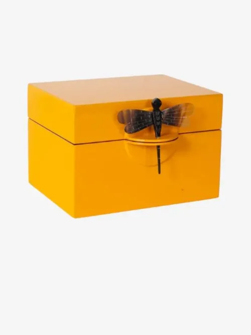 Caixa Decorativa com Libélula Mango Média