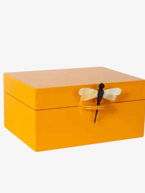 Caixa Decorativa com Libélula Mango Grande